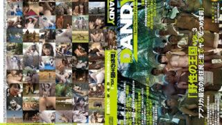 English Subtitle DANDY 462